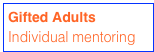 Gifted Adults
Individual mentoring